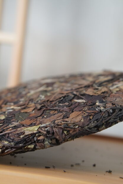 Chuan Han Ji · Mark of Time | Ten-Year Aged · Fuding White Tea 2015 Shou Mei Cake (300g) - Image 5