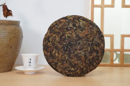 Chuan Han Ji · Mark of Time | Nine-Year Aged · Fuding White Tea 2016 Shou Mei Cake (300g) - Image 9