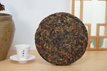 Chuan Han Ji · Mark of Time | Nine-Year Aged · Fuding White Tea 2016 Shou Mei Cake (300g) - Image 10