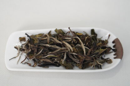 White Peony Tea 2016 – Aged Fuding White Tea Bai Mudan - Image 5