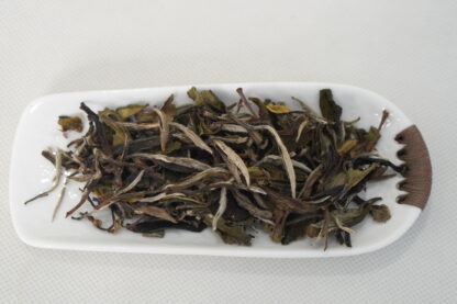 White Peony Tea 2016 – Aged Fuding White Tea Bai Mudan - Image 4