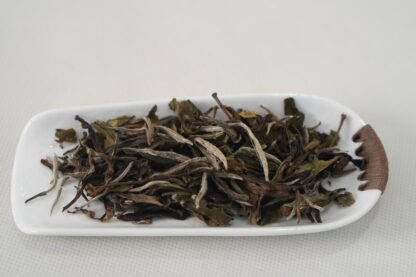 White Peony Tea 2016 – Aged Fuding White Tea Bai Mudan - Image 6